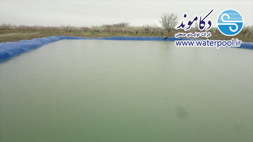 طراحی سایت طراحی سایت
